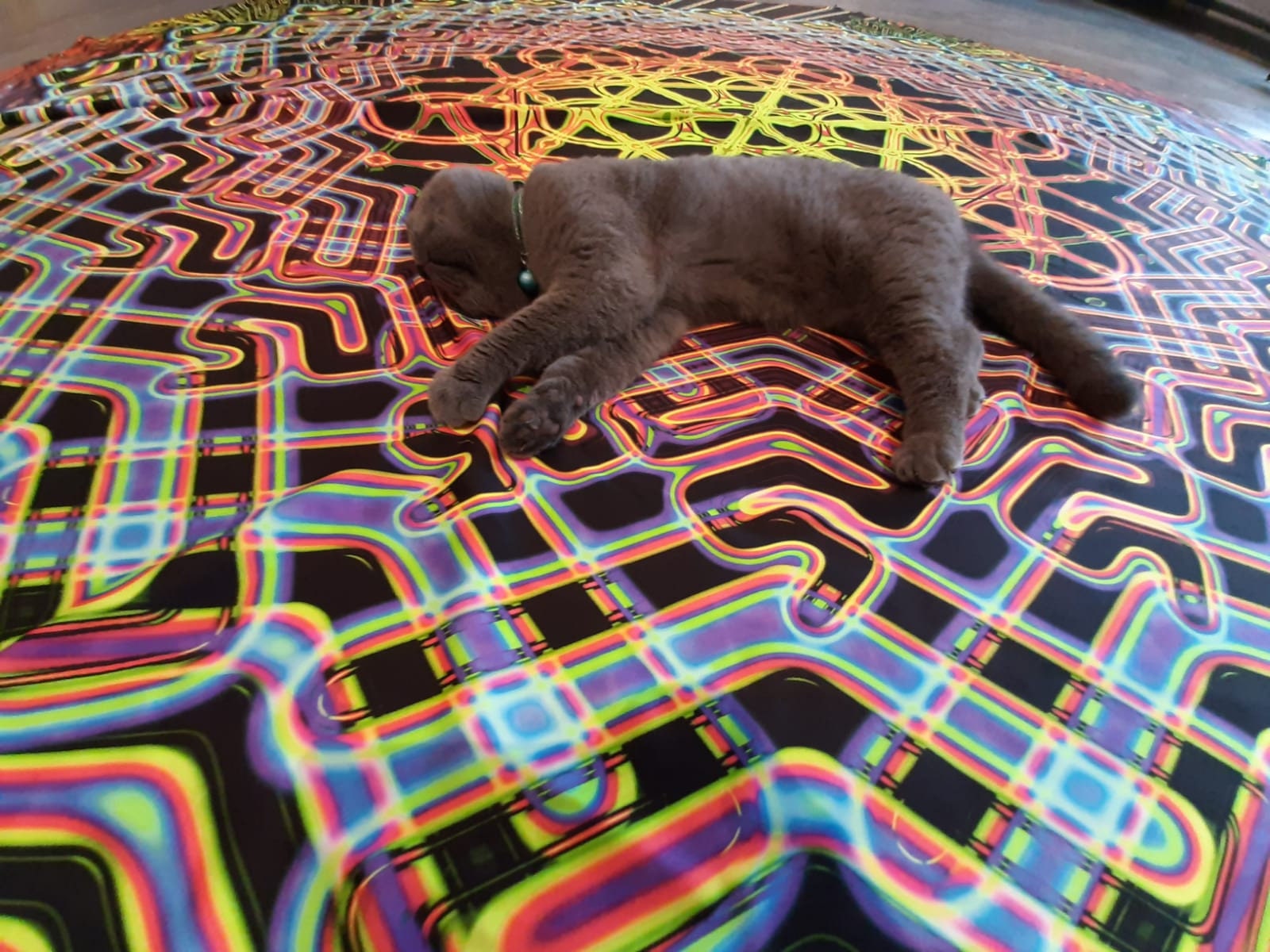 8.6x8.6 m UV Reactive festival Ceiling Decoration canopy Flower Of Life ORANGE medium star Festival set decor Psytrance Party Fluorescent - Image 5