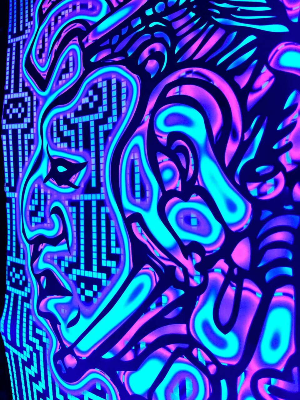 Blacklight Tapestry Spiritual Trance Decor: Neon UV Wall Art, Psychedelic Shamanic Gobelin Print on Fabric - Image 4